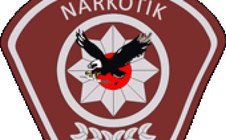 KANUNSUZ UYUŞTURUCU MADDE (SENTETİK CANNABİNOİD) TASARRUFU