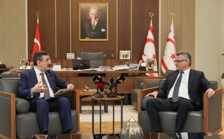 Cumhurbaşkanı Tufan Erhürman, Türkiye Cumhuriyeti Cumhurbaşkanı Yardımcısı Cevdet Yılmaz ile görüştü