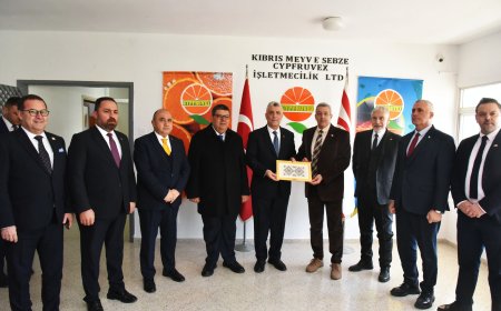 TC Ticaret Bakanı Ömer Bolat, Güzelyurt Soğuk Hava Deposu ve Entegre Tesisleri'nde incelemelerde bulundu