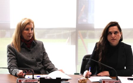 Ekonomi, Maliye, Bütçe ve Plan Komitesi toplandı