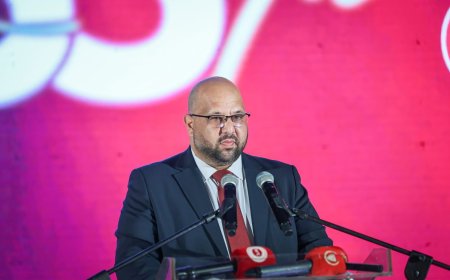 Kişi: Müşavirlik sisteminin geri dönüşü reform değil