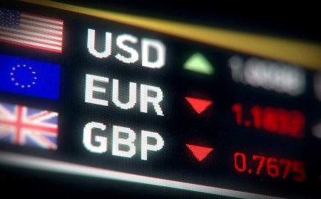 Döviz kurları güne nasıl başladı