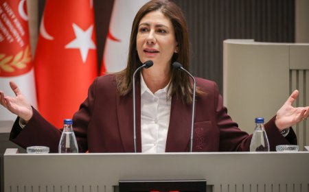 Sıla Usar İncirli: Ziya Öztürkler bakanken, diplomaları ‘ayarlayanlara’ vatandaşlık ‘ayarladı’!