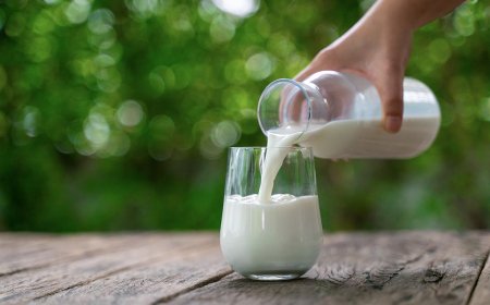 SÜİB: Artan maliyetler süt ve süt ürünleri üretimini sürdürülemez hale getirdi