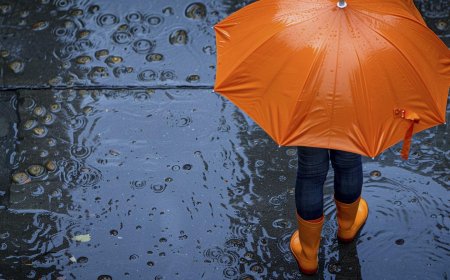 Yağışlar 5 kilogramın altında kaldı