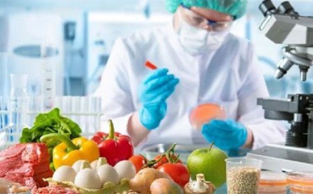 Haftalık denetimde yerli ürün alarmı: Çilek ve salatalıkta limit aşımı