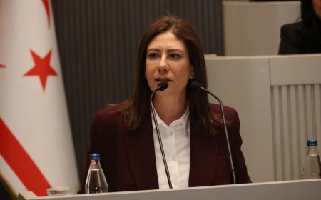 İncirli: Hükümet derhal istifa etmeli