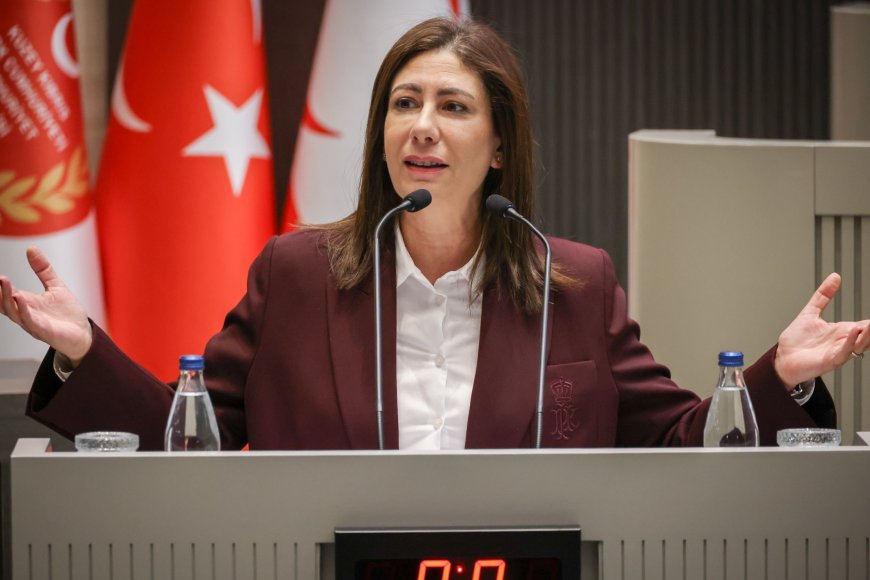 Sıla Usar İncirli: Ziya Öztürkler bakanken, diplomaları ‘ayarlayanlara’ vatandaşlık ‘ayarladı’!