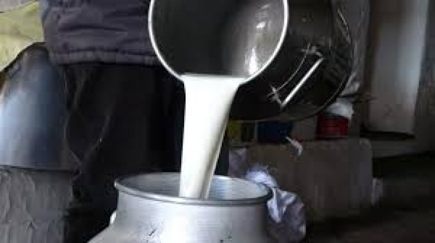 Süt bedelleri ödendi