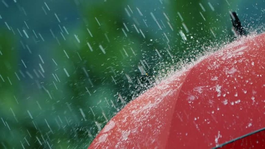 Hava yarından itibaren dört gün yağmurlu olacak