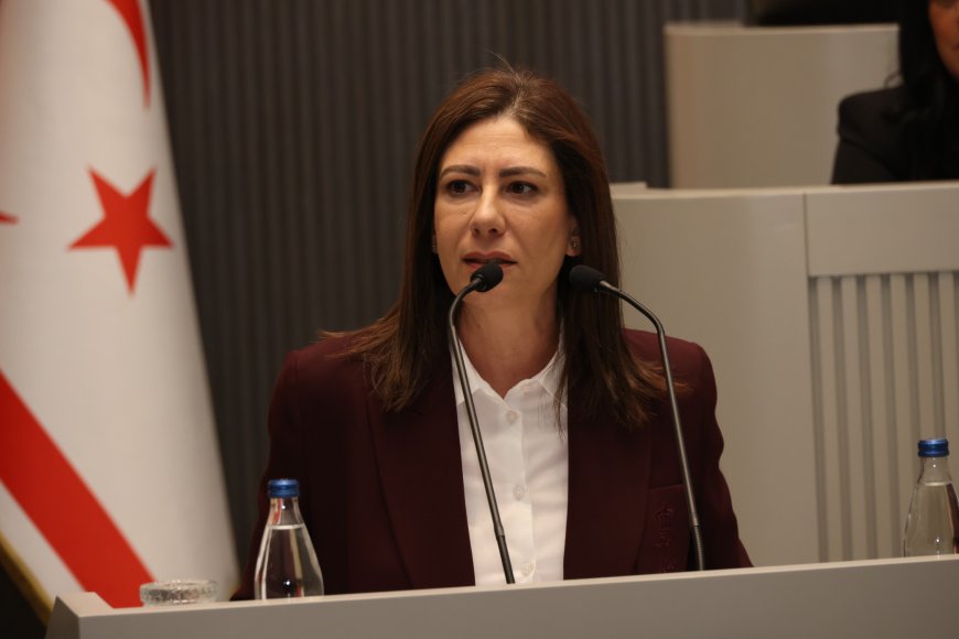 İncirli: Hükümet derhal istifa etmeli