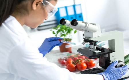 Haftalık gıda denetiminde yerli çilek, mandalin ve hıyarda limit üstü pestisit tespit edildi