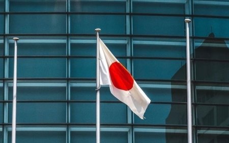 Japonya, erken genel seçim için sandık başına gitti