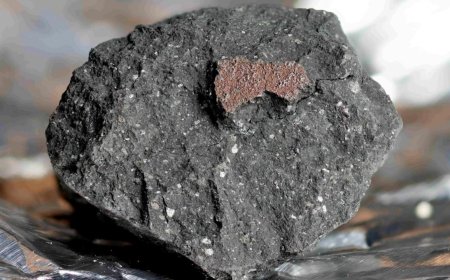 Mars’tan gelen 4,5 milyar yıllık gök taşında su izi keşfedildi