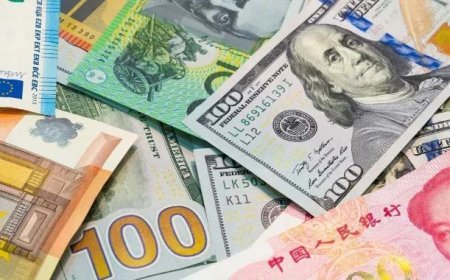 Döviz kurları güne nasıl başladı