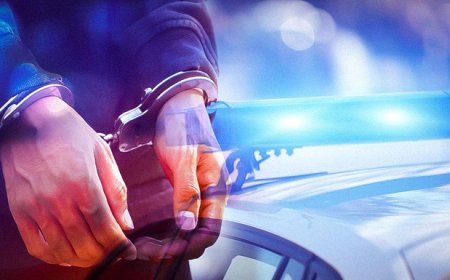 Sirkat suçlamasıyla iki kişye tutukluluk