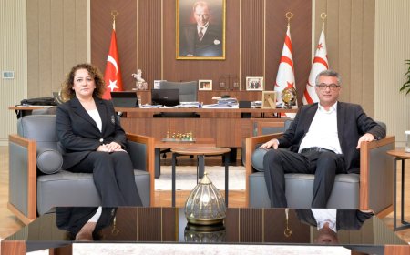 Cumhurbaşkanı Erhürman, KKTC Bakü Temsilcisi Turganer’i kabul etti