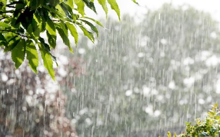 En fazla yağmur metrekareye 15 kg ile Zafer Burnu'nda kaydedildi