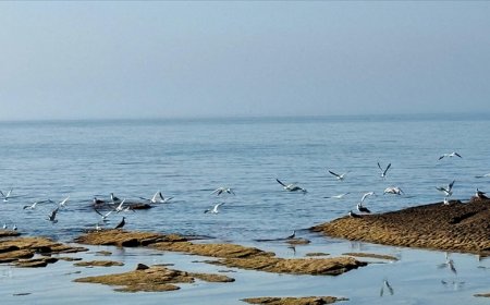 Kazakistan, su seviyesi düşen Hazar Denizi için 2 milyon dolardan fazla kaynak ayırdı