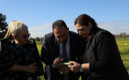 Tarım Bakanı Çavuş babutsada görülen koşnille mücadelede umut verici gelişme kaydedildiğini söyledi