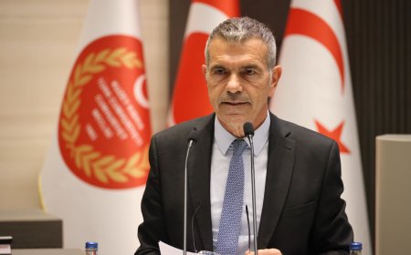 Uluçay: “Kıbrıs Meselesi Kıbrıslı Türklerin Aleyhine İşliyor, Diplomasi Hayati Öneme Sahip”