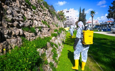 LTB, surlarda temizlik ve ilaçlama çalışmalarına devam ediyor