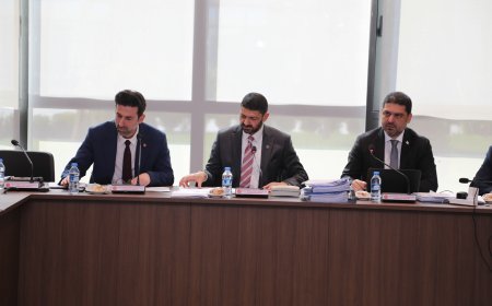 İdari, Kamu ve Sağlık İşleri Komitesi, Bütçe Dairesi ile BRTK yasa tasarılarını görüştü
