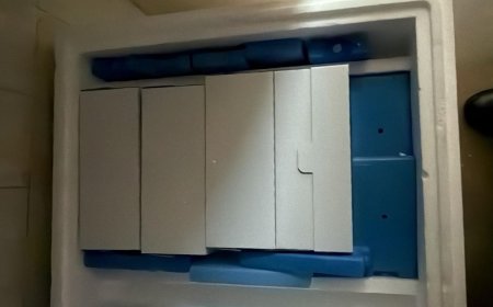 Güney Kıbrıs’a 50 bin doz şap aşısı daha… Toplamda 60 bin doz teslim edildi