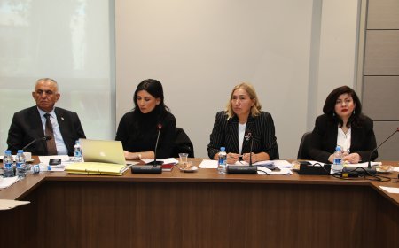 Hukuk, Siyasi İşler, Dışilişkiler ve Savunma Komitesi Ceza (Değişikik) Yasa Tasarısı’nı görüştü