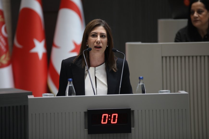 İncirli’den UBP’ye tepki: Sinirlerine hâkim olsunlar