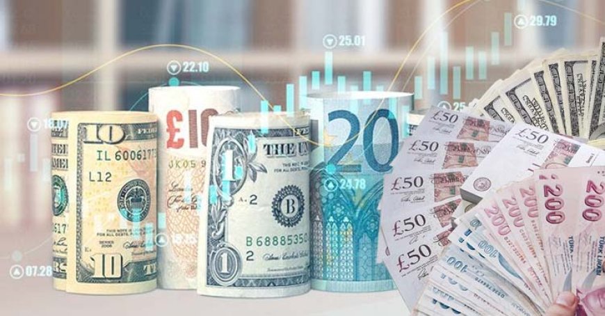 Döviz kurları güne nasıl başladı