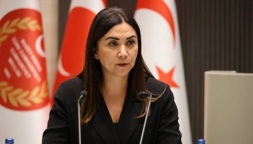 Ayşegül Baybars: Arıklı kürsüye çıkıp herkesten "yalan söylediği için" özür dilesin