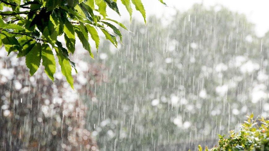 En fazla yağmur metrekareye 15 kg ile Zafer Burnu'nda kaydedildi