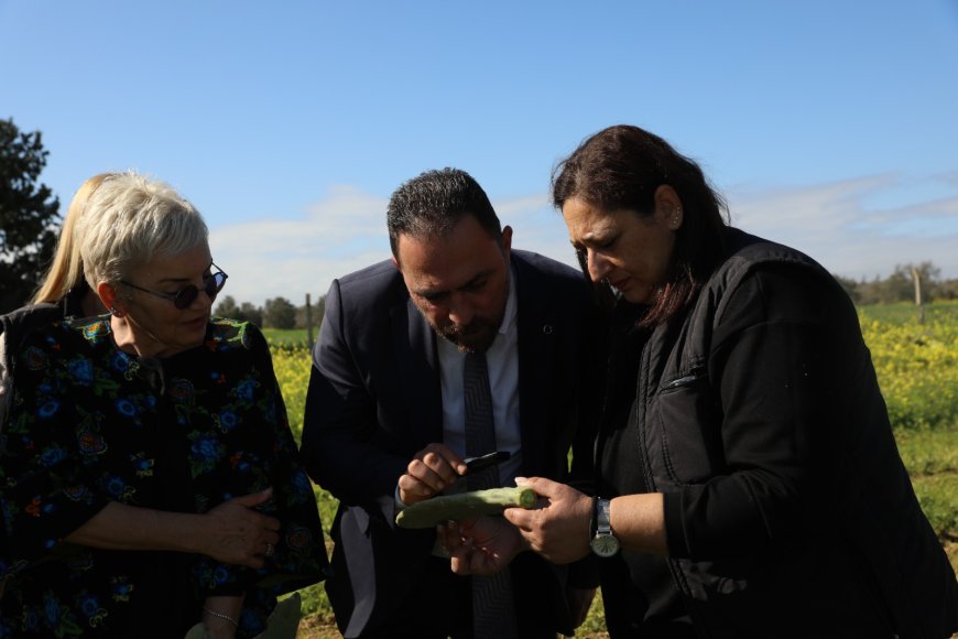 Tarım Bakanı Çavuş babutsada görülen koşnille mücadelede umut verici gelişme kaydedildiğini söyledi