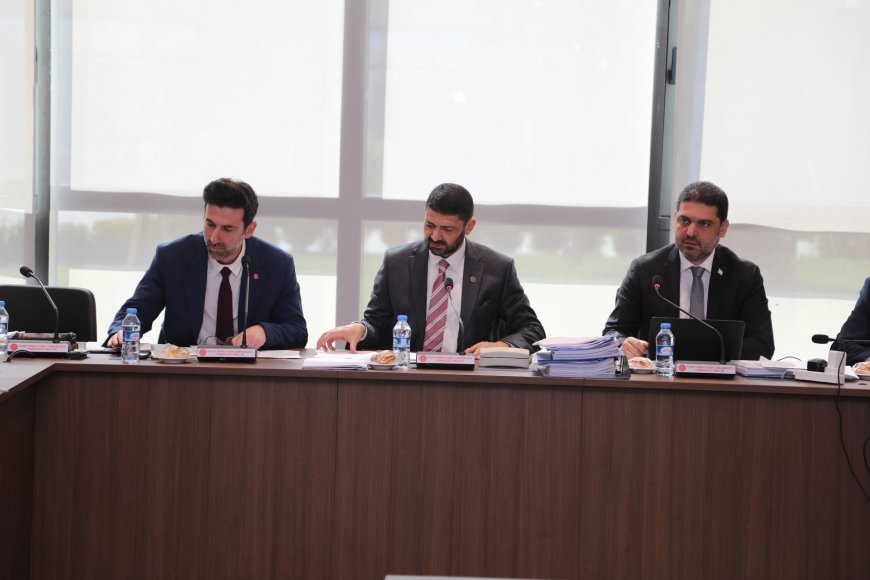 İdari, Kamu ve Sağlık İşleri Komitesi, Bütçe Dairesi ile BRTK yasa tasarılarını görüştü