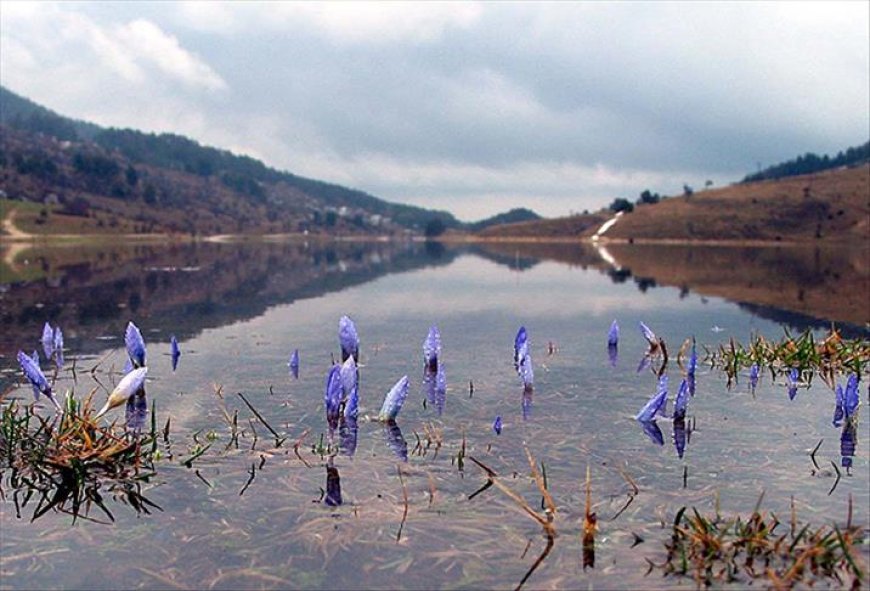 İkinci cemre suya düştü