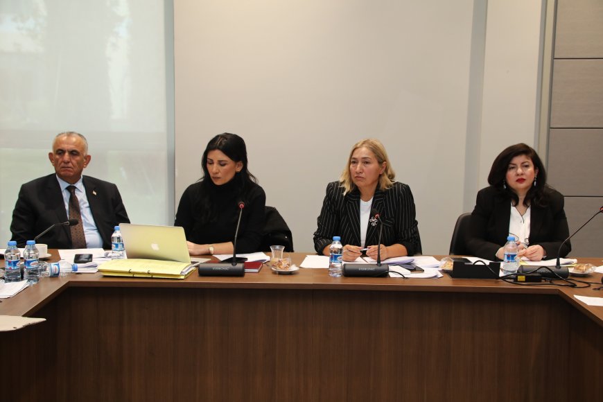 Hukuk, Siyasi İşler, Dışilişkiler ve Savunma Komitesi Ceza (Değişikik) Yasa Tasarısı’nı görüştü