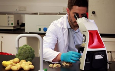 Gıda denetimleri… İthal armut ile yerli dolmalık biber, patlıcan ve çilekte limit üstü bitki koruma ürünü...