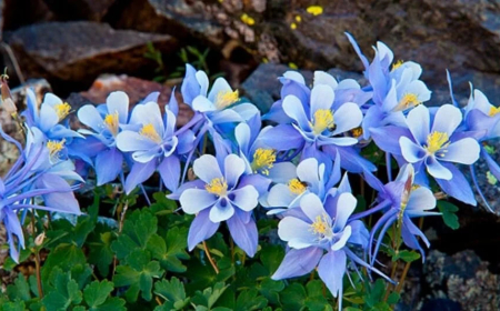 8 Mart Dünya Emekçi Kadınlar Günü mesajları…