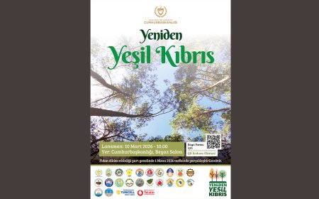 “Yeniden Yeşil Kıbrıs” projesi yarın Cumhurbaşkanlığı’nda düzenlenecek etkinlikle tanıtılacak