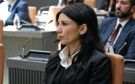 Özdenefe: Ceza Yasası bu şekilde geçirilemez