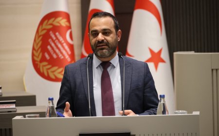 Talat: İfade özgürlüğünü alamazsınız