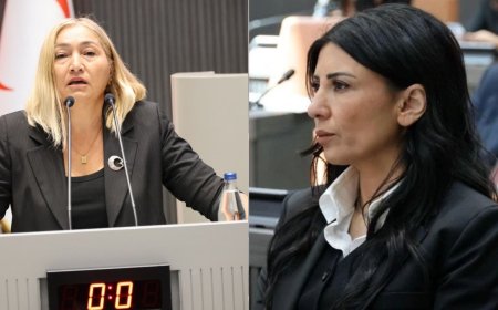 Meclis’te Komite Tartışması: Özdenefe’den Eleştiri, Öztürk’ten Yanıt