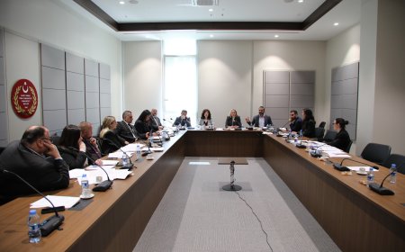 Hukuk, Siyasi İşler, Dışilişkiler ve Savunma Komitesi, Ceza (Değişiklik) Yasa Tasarısı’nı görüştü