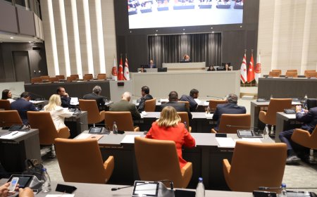 Genel Kurul bugünkü çalışmalarını tamamladı, üç yasa tasarısı ve iki yasa önerisi onaylandı