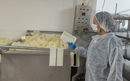 Değirmenlik Akıncılar Belediyesi bir süt fabrikasını mühürlendi