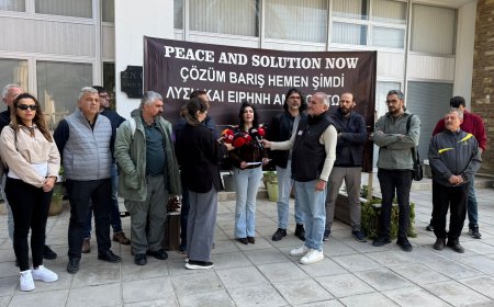 36 örgütten ortak açıklama: “Adamız tüm üslerden, silahlardan arındırılmalı, askersizleştirilmeli”