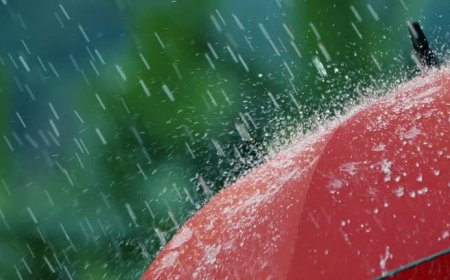 Yarın sabah don olayı, cumartesi günü ise yer yer yağmur bekleniyor