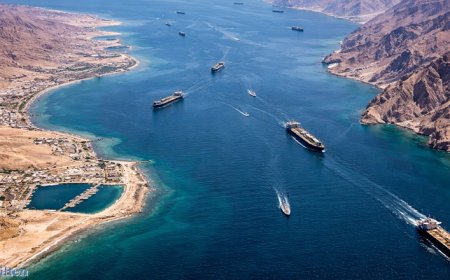 Hürmüz Boğazı'ndan Türk sahipli ilk gemi geçti