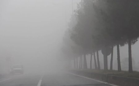 Alevkayası Bölgesi’nde Yoğun Sis Uyarısı